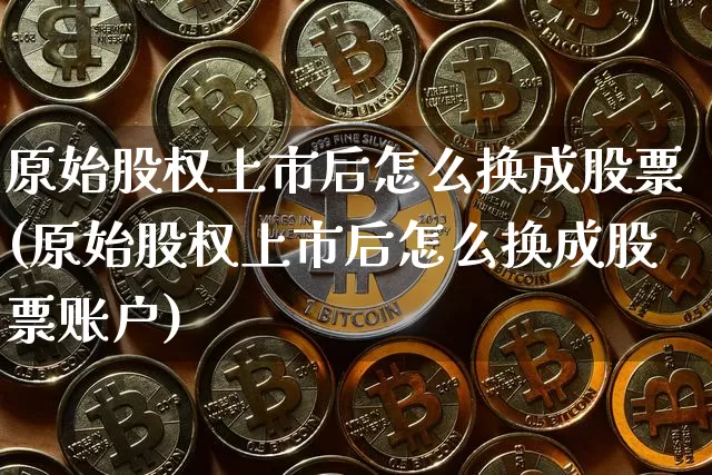 原始股权上市后怎么换成股票(原始股权上市后怎么换成股票账户)_https://www.jyywjc.com_深交所_第1张