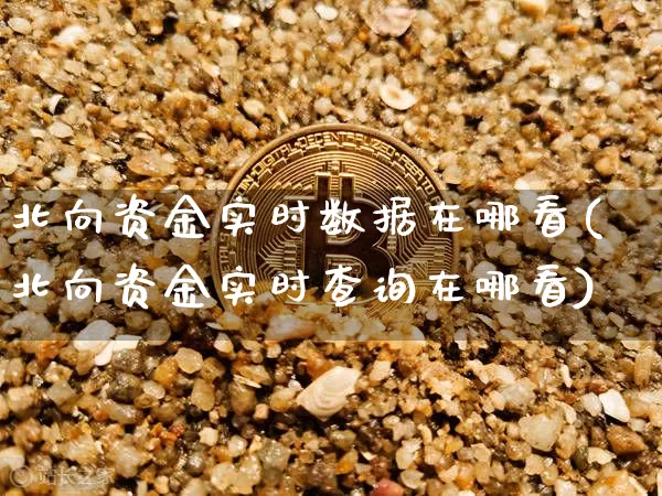 北向资金实时数据在哪看(北向资金实时查询在哪看)_https://www.jyywjc.com_股票_第1张