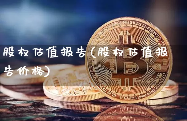 股权估值报告(股权估值报告价格)_https://www.jyywjc.com_上交所_第1张