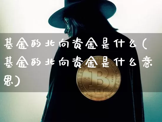 基金的北向资金是什么(基金的北向资金是什么意思)_https://www.jyywjc.com_股票板块_第1张