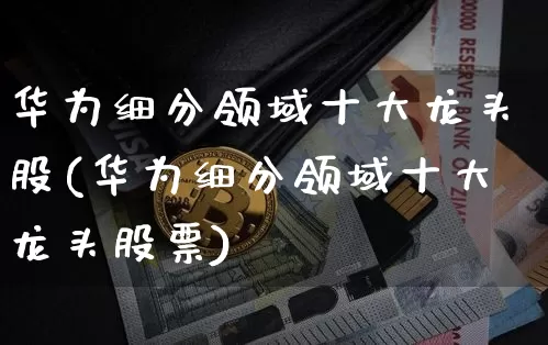 华为细分领域十大龙头股(华为细分领域十大龙头股票)_https://www.jyywjc.com_北交所_第1张