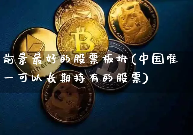 前景最好的股票板块(中国唯一可以长期持有的股票)_https://www.jyywjc.com_股票价格_第1张