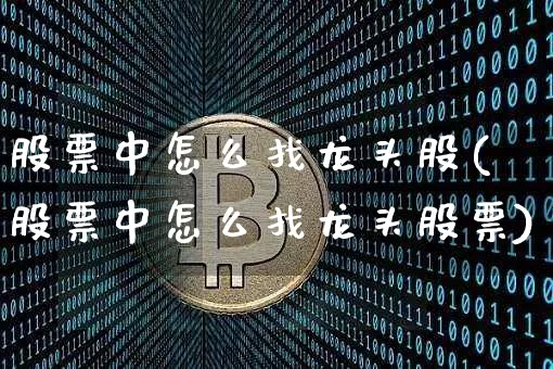 股票中怎么找龙头股(股票中怎么找龙头股票)_https://www.jyywjc.com_股票趋势_第1张