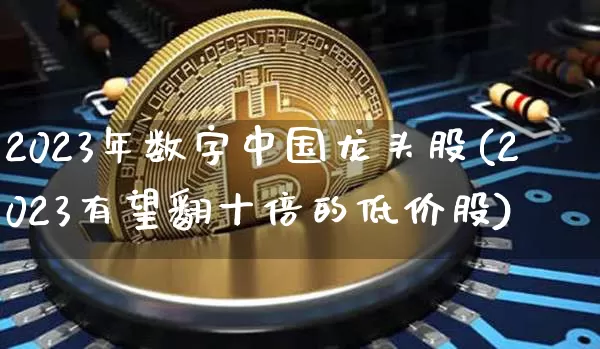 2023年数字中国龙头股(2023有望翻十倍的低价股)_https://www.jyywjc.com_股票行情_第1张