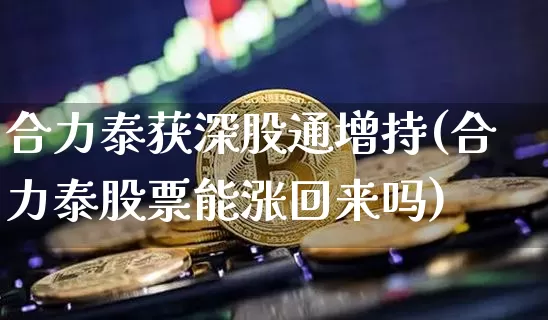 合力泰获深股通增持(合力泰股票能涨回来吗)_https://www.jyywjc.com_股票行情_第1张