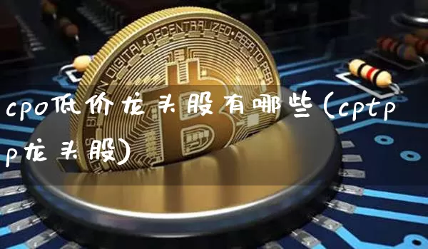 cpo低价龙头股有哪些(cptpp龙头股)_https://www.jyywjc.com_深交所_第1张