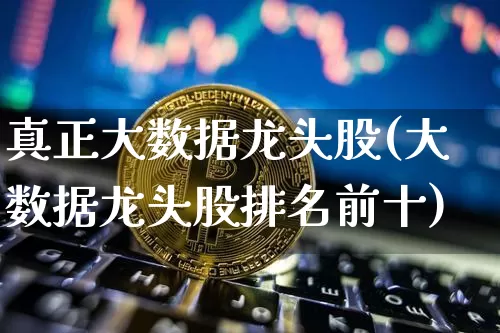 真正大数据龙头股(大数据龙头股排名前十)_https://www.jyywjc.com_股票趋势_第1张