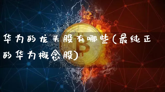 华为的龙头股有哪些(最纯正的华为概念股)_https://www.jyywjc.com_科创板_第1张