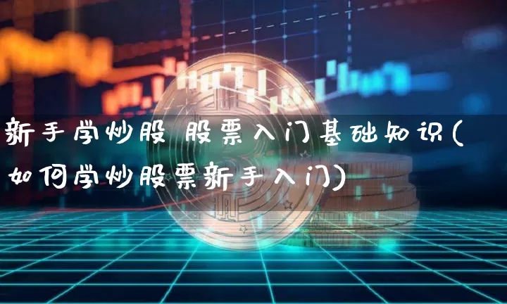新手学炒股 股票入门基础知识(如何学炒股票新手入门)_https://www.jyywjc.com_股票价格_第1张