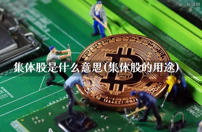 集体股是什么意思(集体股的用途)_https://www.jyywjc.com_股票_第1张