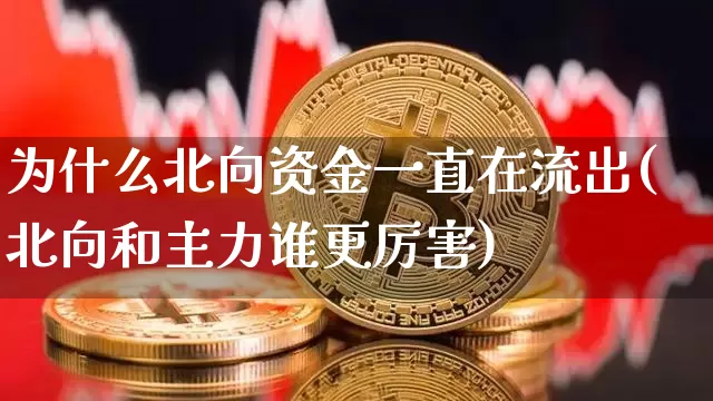 为什么北向资金一直在流出(北向和主力谁更厉害)_https://www.jyywjc.com_股票_第1张
