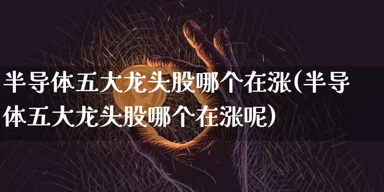 半导体五大龙头股哪个在涨(半导体五大龙头股哪个在涨呢)_https://www.jyywjc.com_股票_第1张