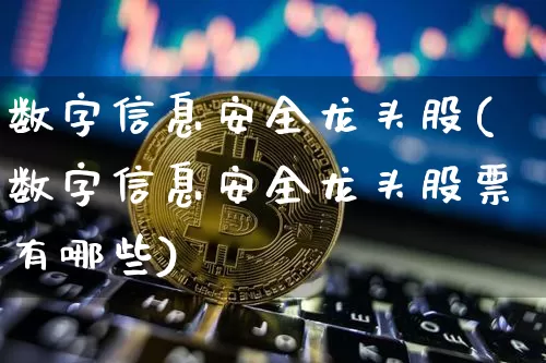 数字信息安全龙头股(数字信息安全龙头股票有哪些)_https://www.jyywjc.com_创业板_第1张