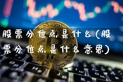 股票分位点是什么(股票分位点是什么意思)_https://www.jyywjc.com_北交所_第1张