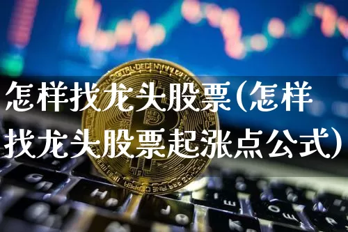 怎样找龙头股票(怎样找龙头股票起涨点公式)_https://www.jyywjc.com_股票行情_第1张