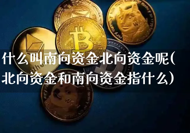 什么叫南向资金北向资金呢(北向资金和南向资金指什么)_https://www.jyywjc.com_股票价格_第1张