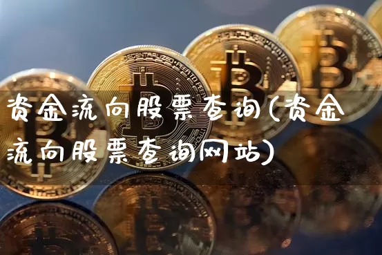 资金流向股票查询(资金流向股票查询网站)_https://www.jyywjc.com_股票行情_第1张