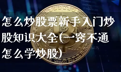 怎么炒股票新手入门炒股知识大全(一窍不通怎么学炒股)_https://www.jyywjc.com_深交所_第1张