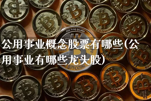 公用事业概念股票有哪些(公用事业有哪些龙头股)_https://www.jyywjc.com_股票价格_第1张