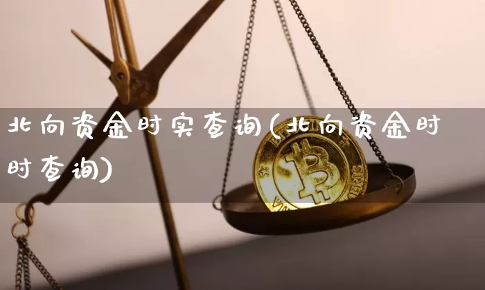 北向资金时实查询(北向资金时时查询)_https://www.jyywjc.com_股票_第1张