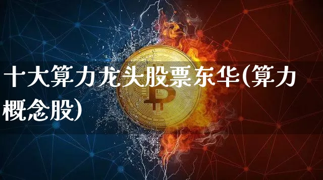 十大算力龙头股票东华(算力概念股)_https://www.jyywjc.com_创业板_第1张