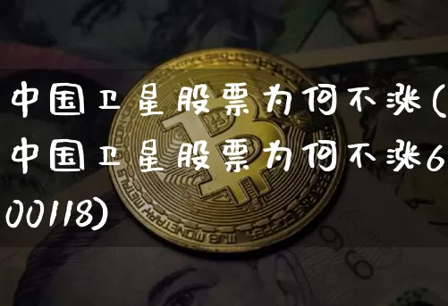 中国卫星股票为何不涨(中国卫星股票为何不涨600118)_https://www.jyywjc.com_股票_第1张