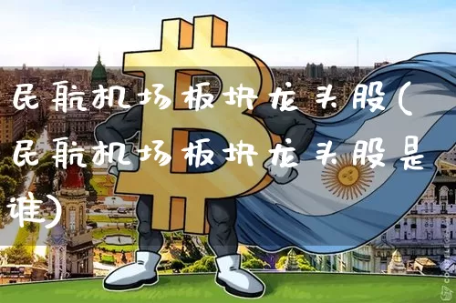 民航机场板块龙头股(民航机场板块龙头股是谁)_https://www.jyywjc.com_股票价格_第1张