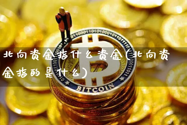 北向资金指什么资金(北向资金指的是什么)_https://www.jyywjc.com_股票价格_第1张