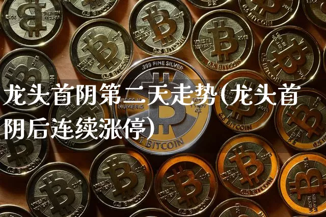 龙头首阴第二天走势(龙头首阴后连续涨停)_https://www.jyywjc.com_股票板块_第1张