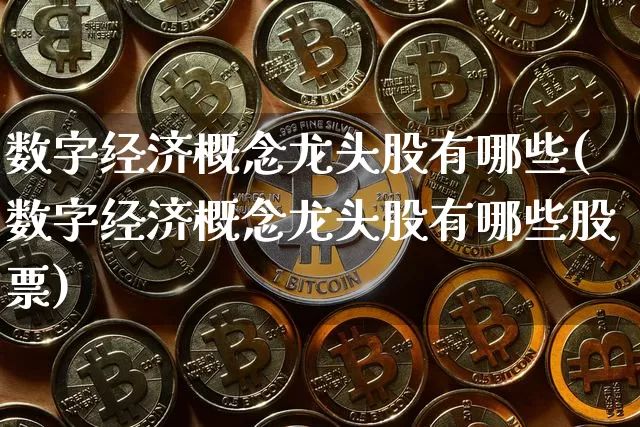 数字经济概念龙头股有哪些(数字经济概念龙头股有哪些股票)_https://www.jyywjc.com_创业板_第1张