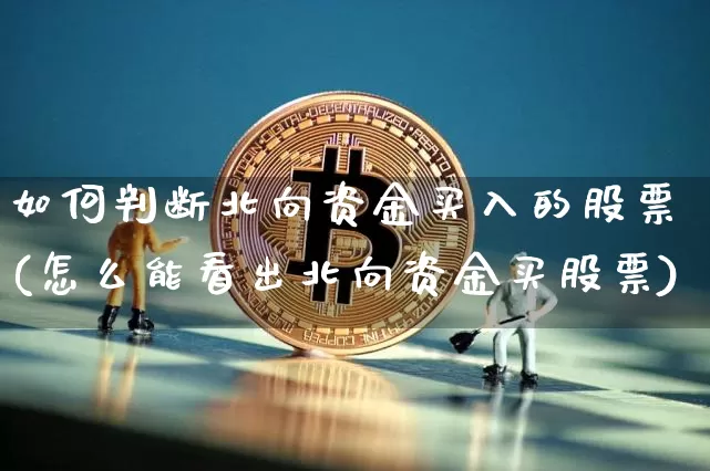 如何判断北向资金买入的股票(怎么能看出北向资金买股票)_https://www.jyywjc.com_股票板块_第1张