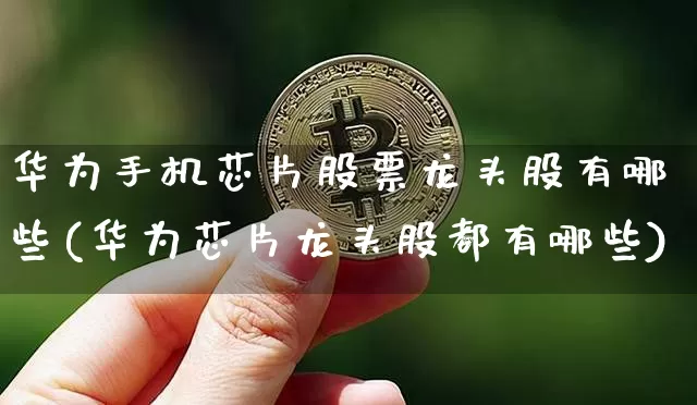 华为手机芯片股票龙头股有哪些(华为芯片龙头股都有哪些)_https://www.jyywjc.com_科创板_第1张