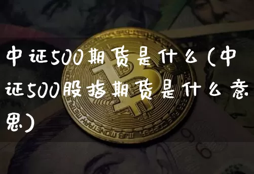 中证500期货是什么(中证500股指期货是什么意思)_https://www.jyywjc.com_科创板_第1张