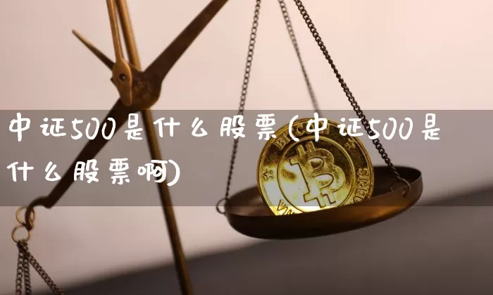中证500是什么股票(中证500是什么股票啊)_https://www.jyywjc.com_北交所_第1张