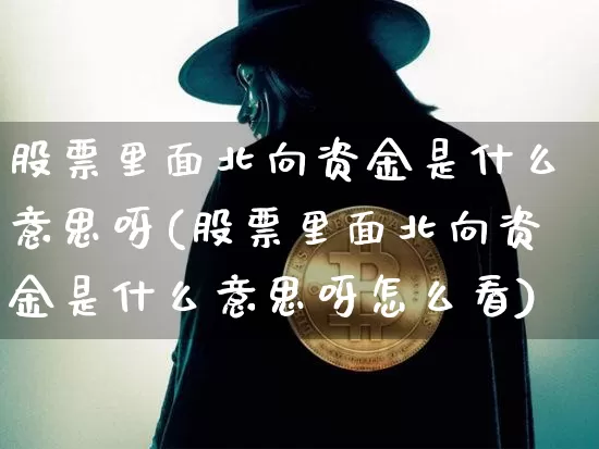 股票里面北向资金是什么意思呀(股票里面北向资金是什么意思呀怎么看)_https://www.jyywjc.com_股票行情_第1张