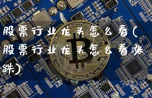 股票行业龙头怎么看(股票行业龙头怎么看涨跌)_https://www.jyywjc.com_股票行情_第1张