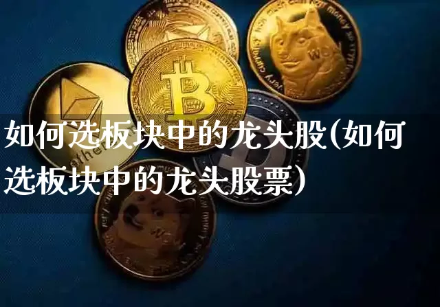 如何选板块中的龙头股(如何选板块中的龙头股票)_https://www.jyywjc.com_上交所_第1张