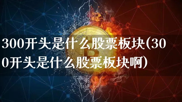 300开头是什么股票板块(300开头是什么股票板块啊)_https://www.jyywjc.com_创业板_第1张