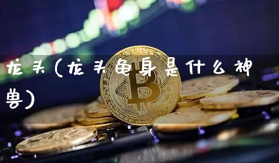 龙头(龙头龟身是什么神兽)_https://www.jyywjc.com_股票板块_第1张