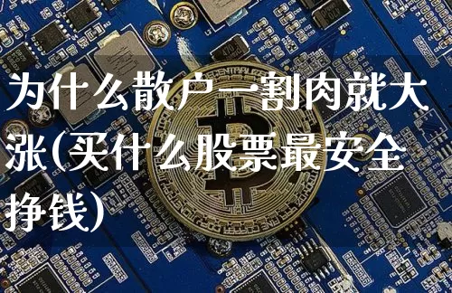 为什么散户一割肉就大涨(买什么股票最安全挣钱)_https://www.jyywjc.com_股票行情_第1张