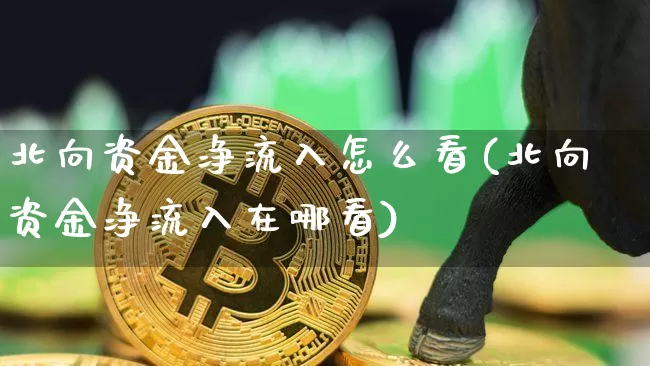 北向资金净流入怎么看(北向资金净流入在哪看)_https://www.jyywjc.com_股票_第1张