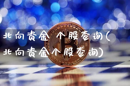 北向资金 个股查询(北向资金个股查询)_https://www.jyywjc.com_股票_第1张