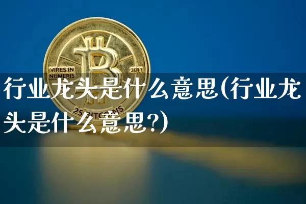 行业龙头是什么意思(行业龙头是什么意思?)_https://www.jyywjc.com_股票板块_第1张