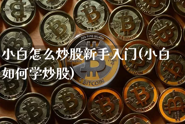 小白怎么炒股新手入门(小白如何学炒股)_https://www.jyywjc.com_股票价格_第1张