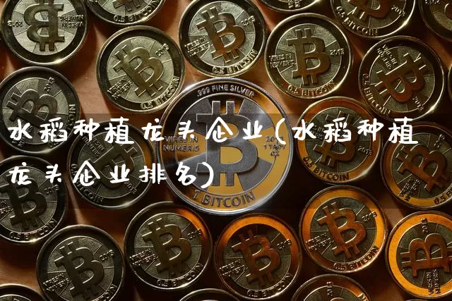水稻种植龙头企业(水稻种植龙头企业排名)_https://www.jyywjc.com_股票行情_第1张