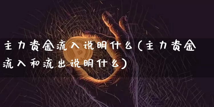 主力资金流入说明什么(主力资金流入和流出说明什么)_https://www.jyywjc.com_股票_第1张
