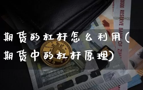 期货的杠杆怎么利用(期货中的杠杆原理)_https://www.jyywjc.com_创业板_第1张