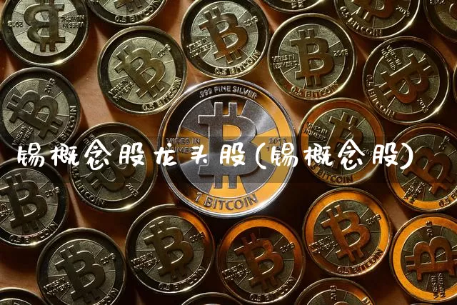 锡概念股龙头股(锡概念股)_https://www.jyywjc.com_股票板块_第1张