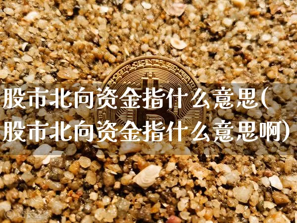股市北向资金指什么意思(股市北向资金指什么意思啊)_https://www.jyywjc.com_股票趋势_第1张