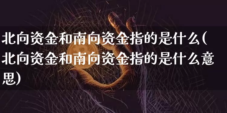 北向资金和南向资金指的是什么(北向资金和南向资金指的是什么意思)_https://www.jyywjc.com_股票_第1张